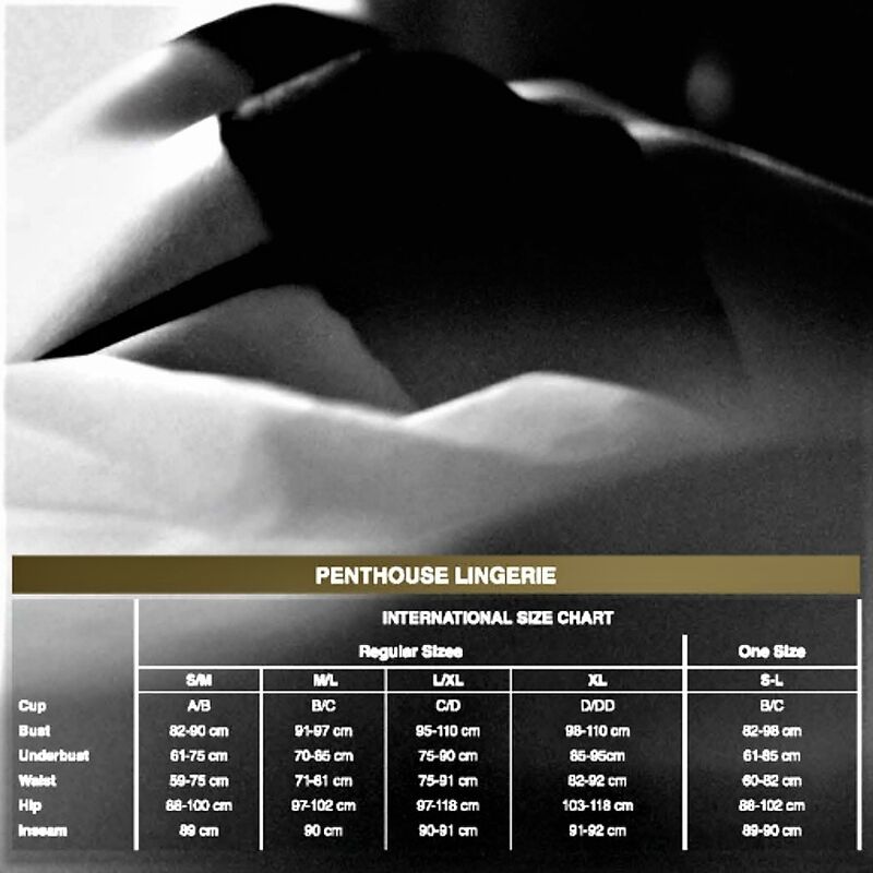 PENTHOUSE – DEVILS ADVOCATE TEDDY XL - Image 4