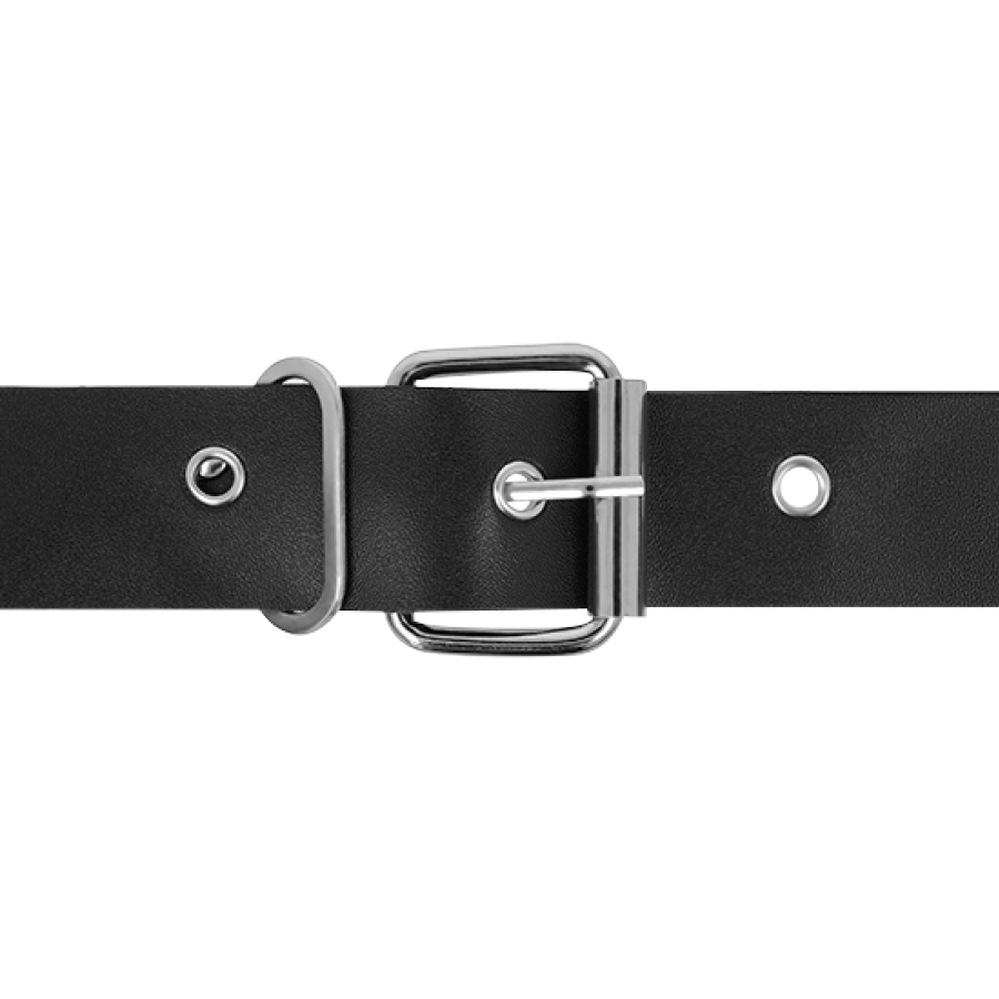 HARNESS ATTRACTION – RNES TAYLOR DELUXE 18 CM -O- 4.5 CM - Image 5