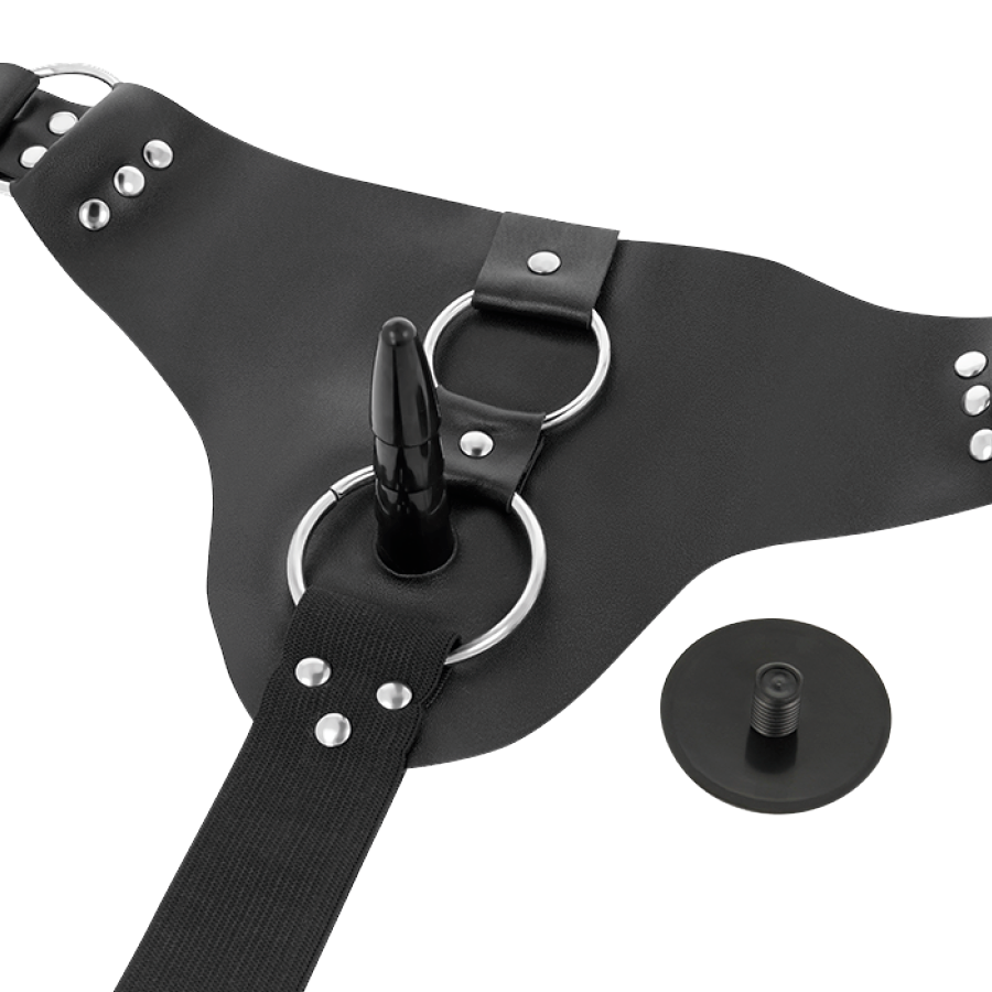 HARNESS ATTRACTION – RNES TAYLOR DELUXE 18 CM -O- 4.5 CM - Image 6